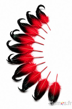 Anatra - 6-9 cm - rosso-nero